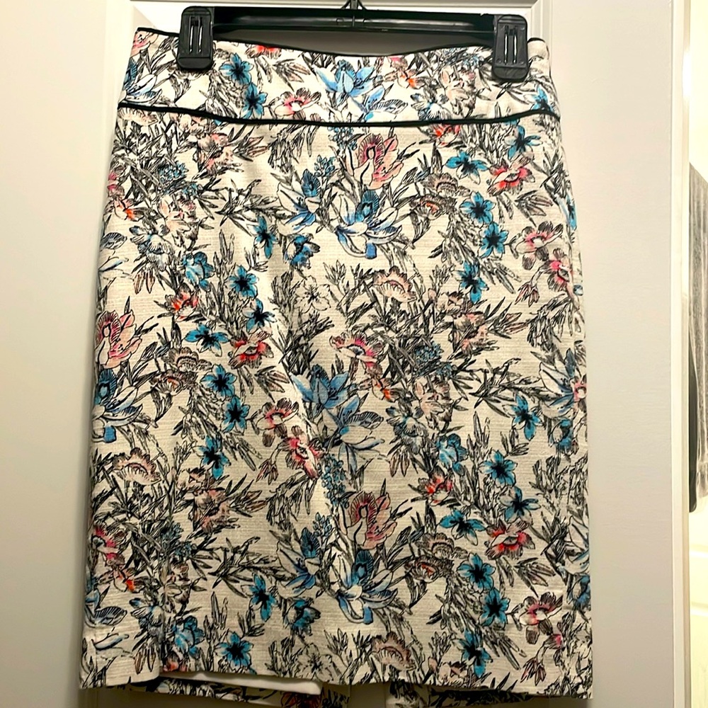Ann Taylor Pencil Skirt